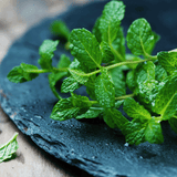 aromatherapy diffuser reill